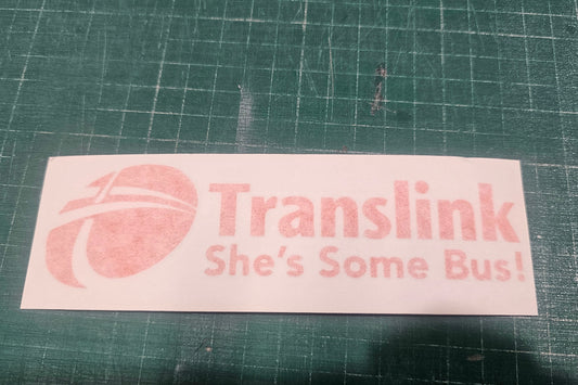Translink V1 Some Bus! Clearance- 150mm x 40